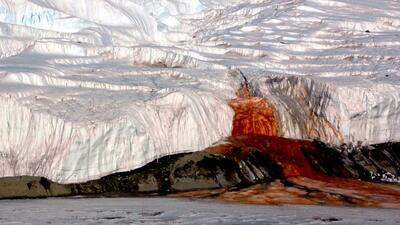 «آبشارهای خونین» قطب جنوب از کجا سرچشمه می‌گیرند؟