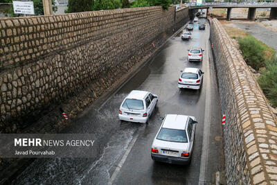 تصاویر: بارش باران در شیراز