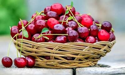 میوه ای تابستانی که تقویت کننده حافظه، دفع کننده سنگ کلیه و سنگ مثانه، خونساز و پاکسازی کننده بدن است