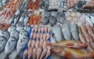 ارسال انواع ماهی از گورزانگ میناب به نقاط مختلف استان و کشور