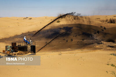 خسارت «مالچ نفتی» ‌به‌ خاک خوزستان در حال برآورد  است