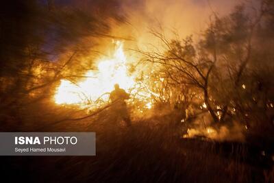 افزایش دو برابری ‌آتش‌سوزی‌ در جنگل‌های کرخه/ از دست رفتن تعداد زیادی از درختان بومی
