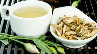 چای سفید هفت خاصیت فوق العاده دارد+جوانساز و ضد سرطان