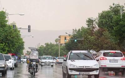عکس/ بارش باران در شیراز
