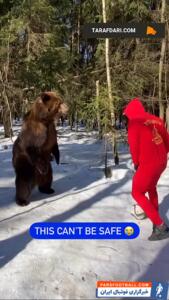 یک روز عادی در روسیه؛ لایی زدن به خرس در برف! - پارس فوتبال | خبرگزاری فوتبال ایران | ParsFootball