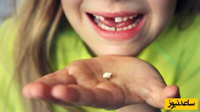 حقایق و اهمیت های دندان شیری کودک