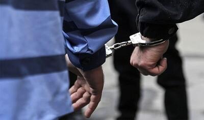 دستگیری ۴۳۷ سارق و مالخر در طرح عملیاتی پلیس آگاهی