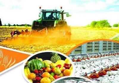 بهره‌برداری12درصد پروژه‌های کشاورزی کشور در سیستان وبلوچستان - تسنیم