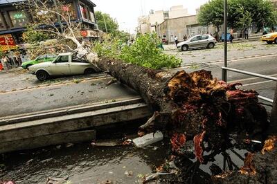 پیش‌بینی وزش باد شدید و توفان لحظه‌ای در تهران