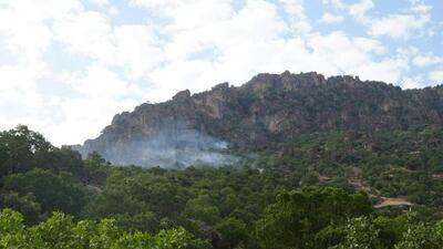 بروز آتش سوزی در سه منطقه طبیعی شهرستان ایوان