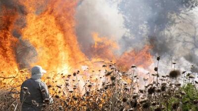 همه موارد آتش سوزی در پارک ملی کرخه عمدی و از سوی انسان‌ها است