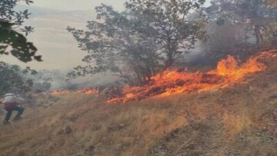 ۳/۶ میلیون هکتار از اراضی طبیعی اصفهان در معرض خطر آتش‌سوزی است