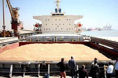 کشتی حامل ۷۱ هزار تن گندم در بندر امام(ره) پهلو گرفت