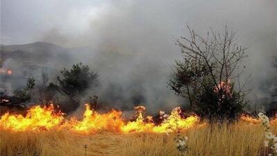 ۱۱۸۵ هکتار از مزارع لرستان در آتش سوخت
