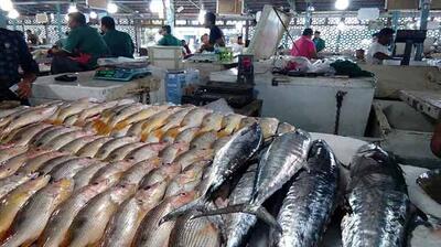 قیمت انواع ماهی ۲۲ خرداد ۱۴۰۳ /جدول - عصر اقتصاد