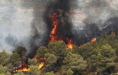 علت آتش سوزی جنگل‌های خوزستان چیست؟