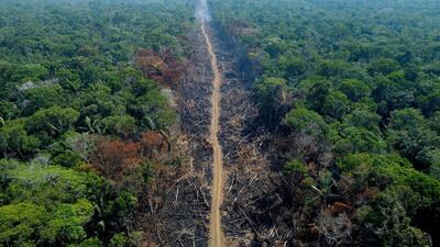 کاهش گازهای گلخانه‌ای با جلوگیری از جنگل زدایی و مدیریت آب و خاک