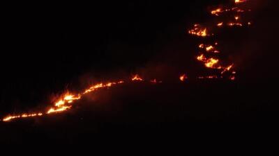 (ویدئو) رکورد بی‌سابقه آتش‌سوزی‌ها در بزرگترین تالاب گرمسیریِ جهان