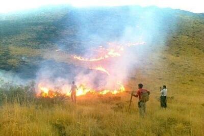 آتش سوزی گسترده در ۹ نقطه از یک استان | تعمد عجیب در کار است!