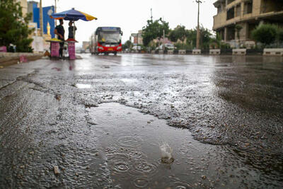 بارش زیبای باران بهاری در شیراز | تصاویر