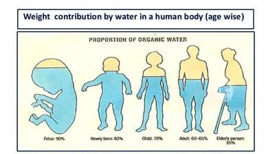 درصد آب بدن در سنین مختلف