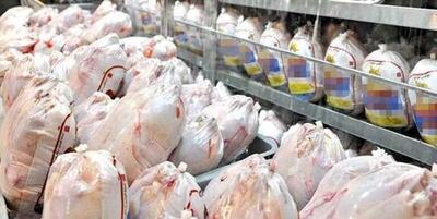 صادات ۵۰ تن مرغ منجمد تولید استان ایلام به کشور عراق