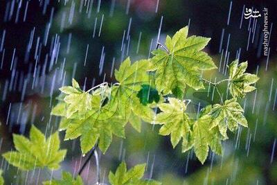 فیلم/ بارش باران در برزک کاشان