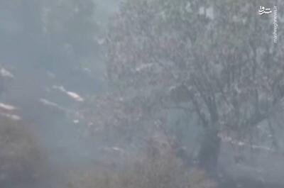 تصاویر هوایی از آتش‌سوزی جنگل‌های شهرستان ایوان