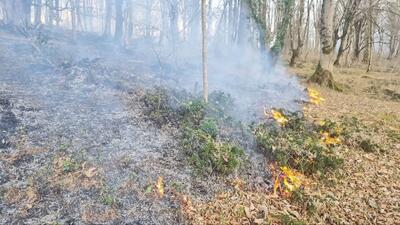 مهار آتش سوزی جنگل های شهرستان ایوان