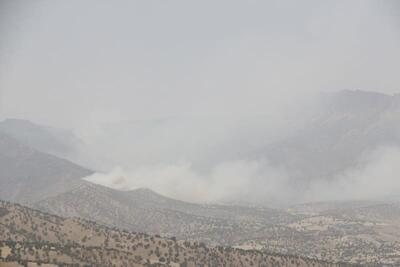 آتش‌سوزی در جنگل‌های منطقه «مپل»