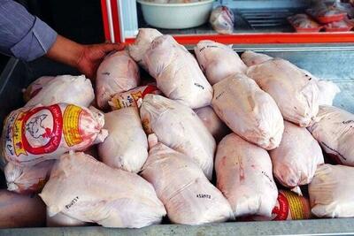 قیمت مرغ پرواز کرد | قیمت مرغ گرم در بازار امروز کیلویی چند؟