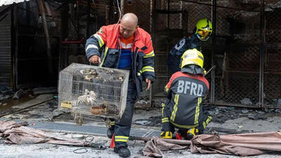 آتش سوزی در بازار بزرگ حیوانات /صدها حیوان خانگی در قفس تلف شدند + عکس