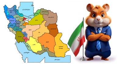 3 استانی که بیشترین بازیکن همستر را در ایران دارد!