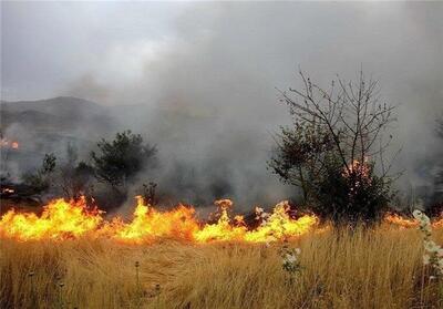 1185 هکتار از مزارع لرستان در آتش سوخت - تسنیم