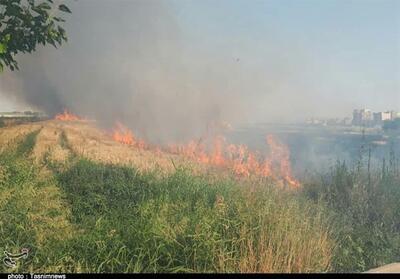 شعله‌ورشدن مجدد آتش در جنگل‌های ایوان - تسنیم