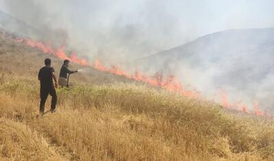 حریق ادامه‌دار در اراضی کوهدشت/ احتمال گسترش آتش‌سوزی - تسنیم