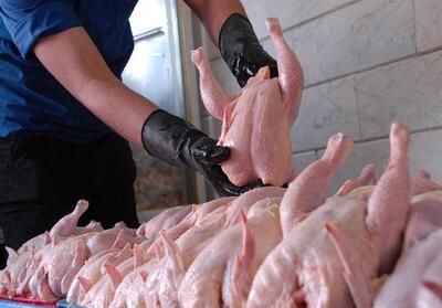 روزانه ۳۰۰ تن مرغ گرم در بازار خوزستان توزیع می‌شود