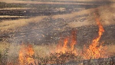 آتش سوزی گسترده در مراتع دزفول پس از ۱۸ ساعت مهار شد