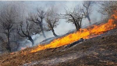 آتش‌سوزی همزمان در ۹ نقطه شهرستان‌های چگنی و کوهدشت