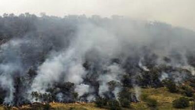 مهار آتش‌سوزی ارتفاعات نارک در گچساران
