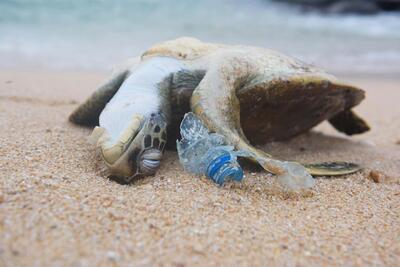 آیا می‌توانیم یک روز استفاده از پلاستیک را متوقف کنیم؟ - زومیت