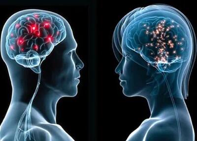 تقاوت عجیب مغز زنان و مردان