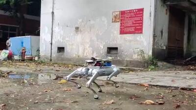 ربات چهارپای سگ‌سان، گاز‌های خطرناک را بو می‌کشد (فیلم)