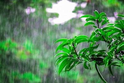 بارش باران فردا در ۱۳ استان تشدید می‌شود
