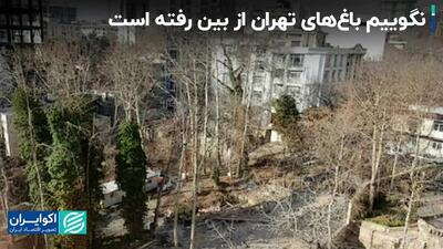 نگوییم باغ‌های تهران از بین رفته است