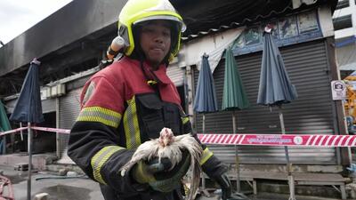 (ویدئو) صد‌ها حیوان در آتش‌سوزی در بازاری در بانکوک تلف شدند
