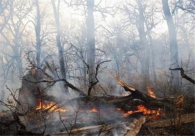 خسارت به ۱۱۵ هکتار از جنگل‌های پارک ملی کرخه/کمبود تجهیزات مورد نیاز مقابله با حوادث