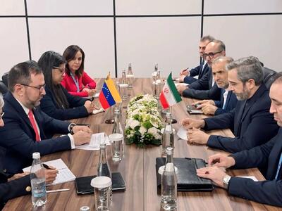 «باقری» با وزیر خارجه ونزوئلا در حاشیه نشست وزرای خارجه بریکس دیدار کرد