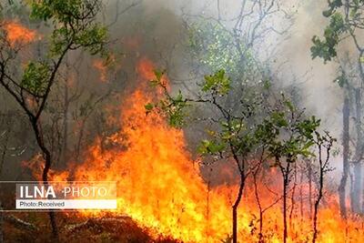 شناسایی عوامل آتش سوزی در جنگل‌های لرستان در حال پیگیری است
