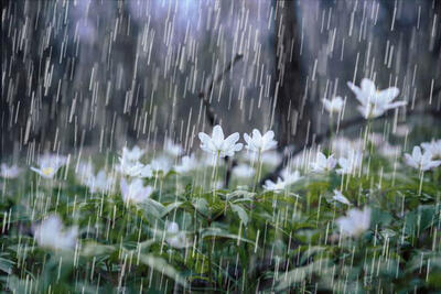 بارش‌های رگباری از فردا بعداز ظهر در همدان